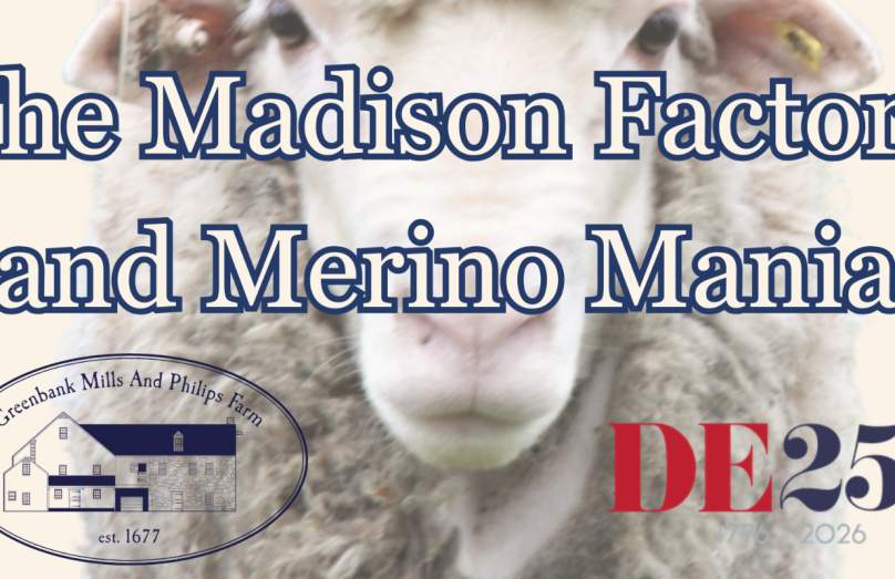 Processing in the Revolution: The Madison Factory and Merino Mania