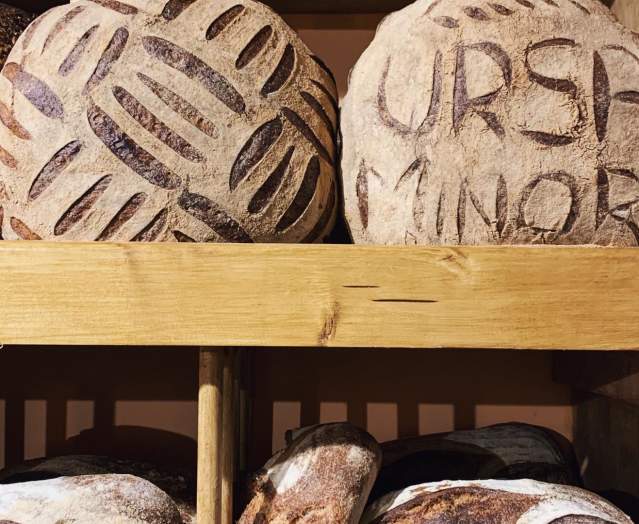 Ursa Minor Bakehouse