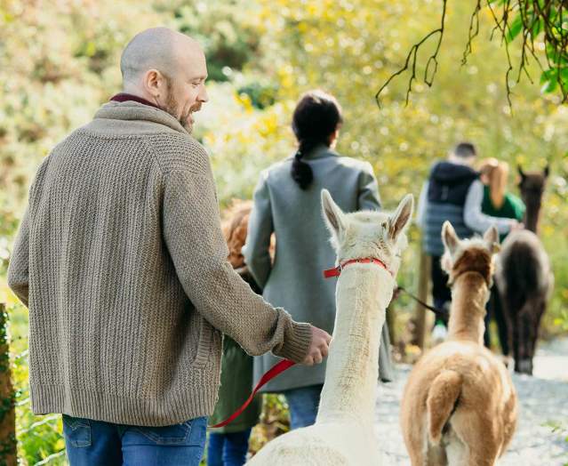 Ballyburren Outdoor Escapes
