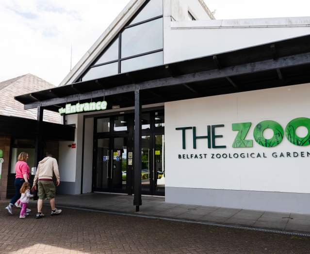 Belfast Zoo