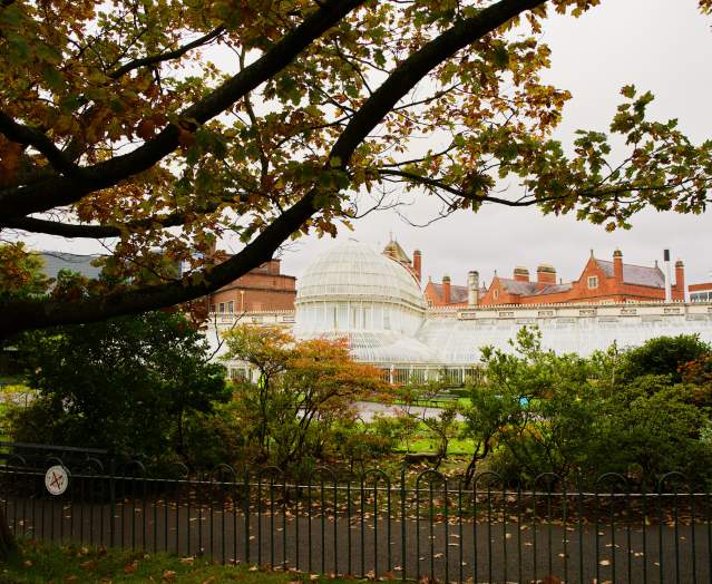 Belfast Botanic Gardens and Palm House