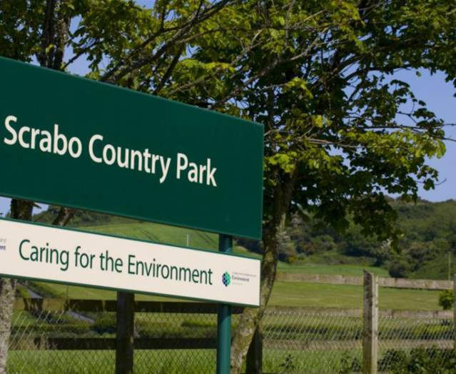Scrabo Country Park
