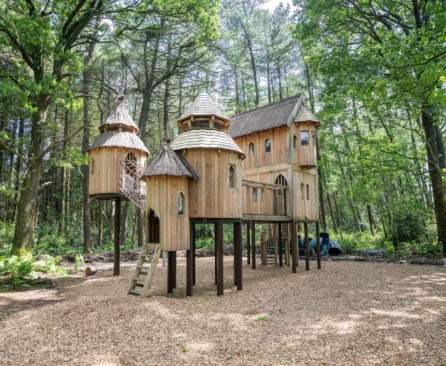 Pomeroy Forest and Magic Trails