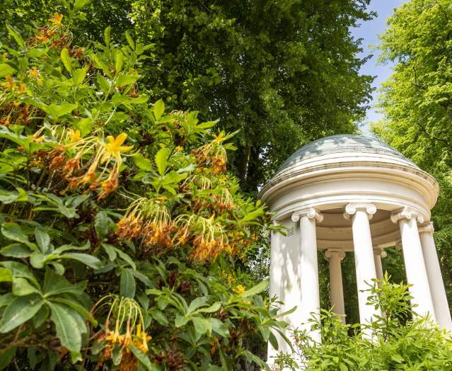 Hillsborough Castle and Gardens - Guided Tour of Gardens