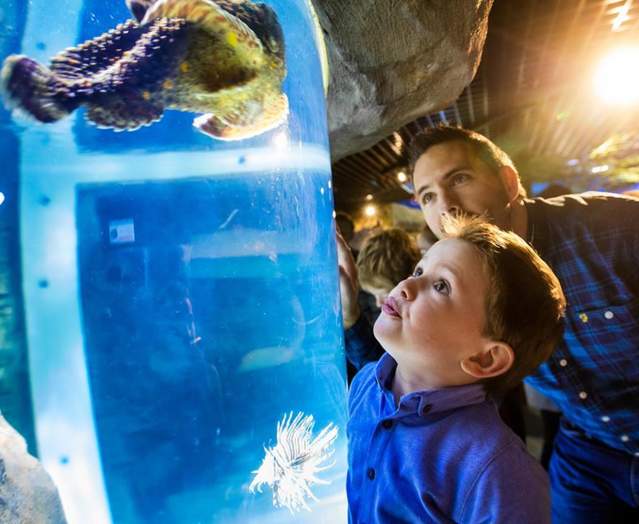 Exploris Aquarium & Seal Sanctuary