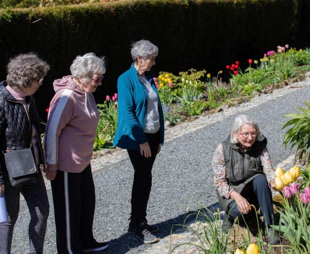 Castlewellan Forest Park