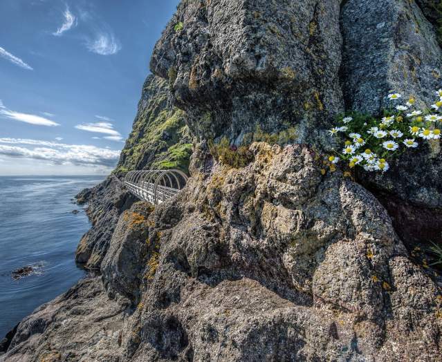 The Gobbins Cliff Path