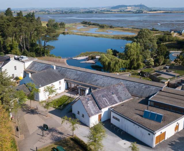WWT Castle Espie Wetland Centre