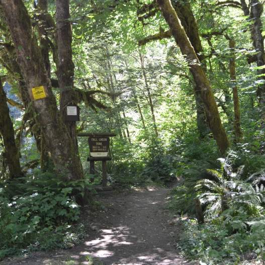 Fall Creek National Recreation Trail