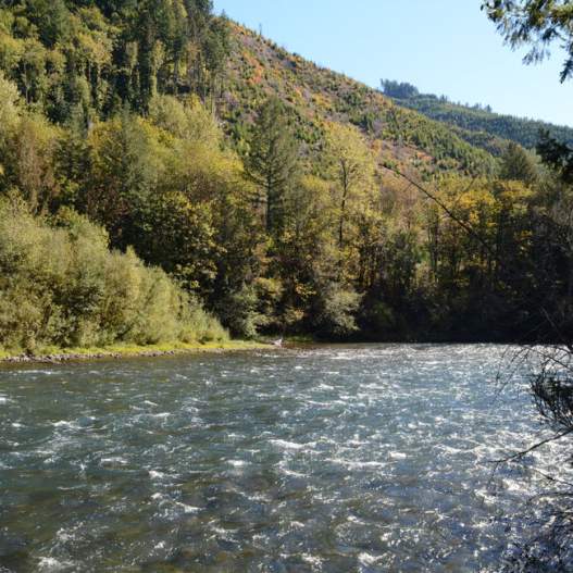 McKenzie River Guides Association