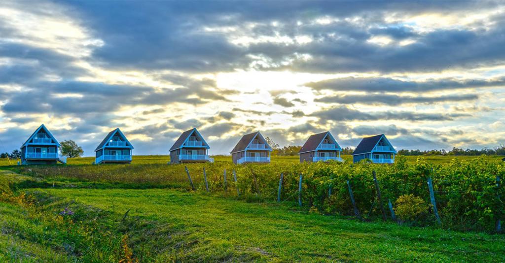 Vineyard Villas - Villas on Hill at Sunrise