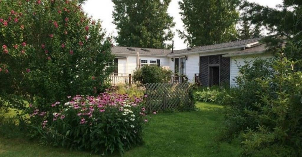 Backyard at the Ginger Cat B&B