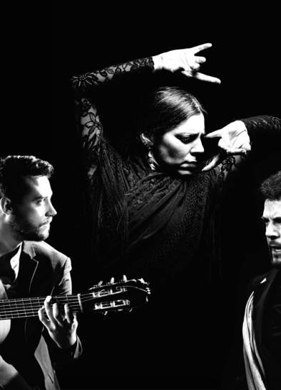 Art of Andalucia FLAMENCO DANCE