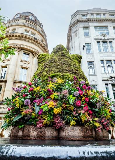 The Manchester Flower Festival Floral Trail
