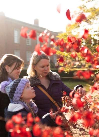 October half term at Dunham Massey