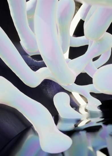 It Requires Getting Lost