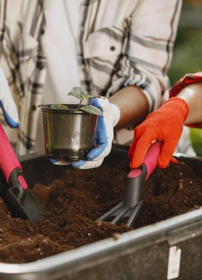 Celebrate Children's Gardening Week at Newton Heath Library