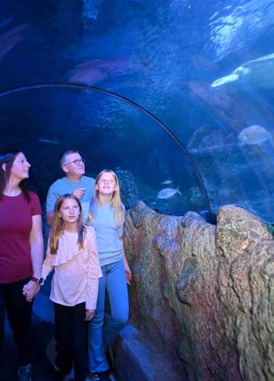 Snowy's Conservation Crew