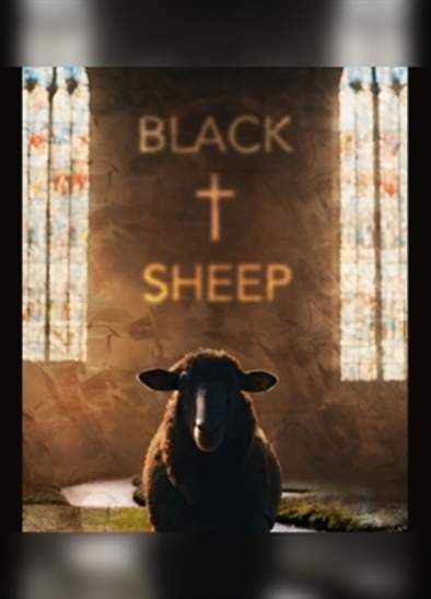 curious directive: Black Sheep