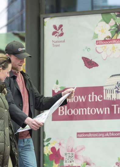 Blossom + Bloomtown