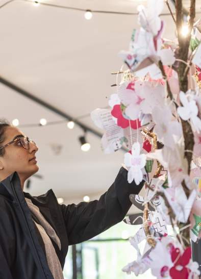 Blossom Exhibition at Castlefield Viaduct