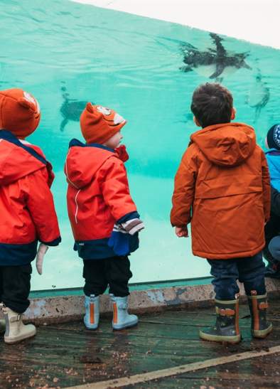 Daily Animal Talks at Chester Zoo