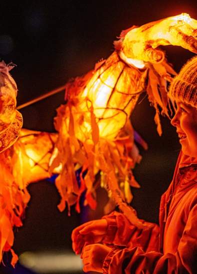 Lanterns and Light at Chester Zoo