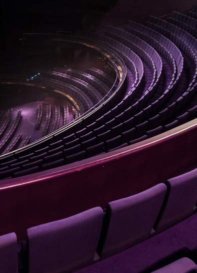 Rob Newman: Where The Wild Things Were