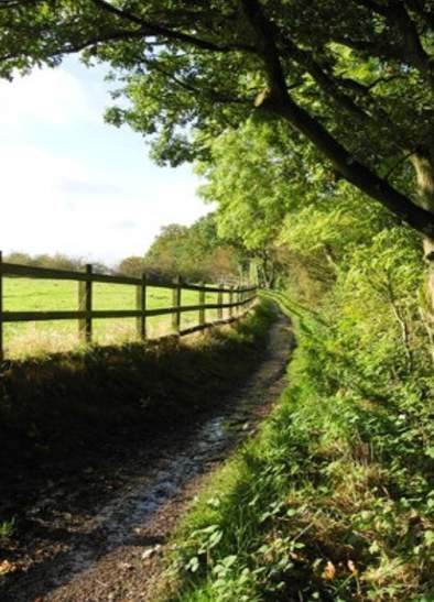 Daisy Nook Country Park