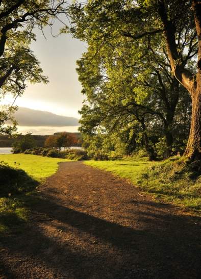 Derwent Waterside Park