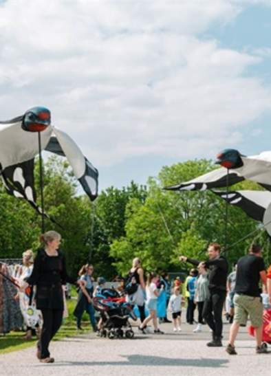 Flashes Festival of Nature 2025