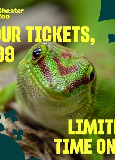 Chester Zoo £99 ticket for four people