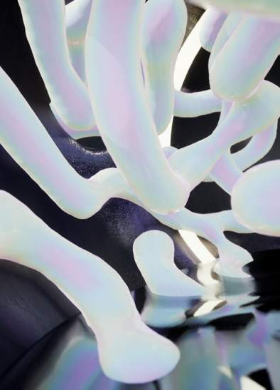 It Requires Getting Lost