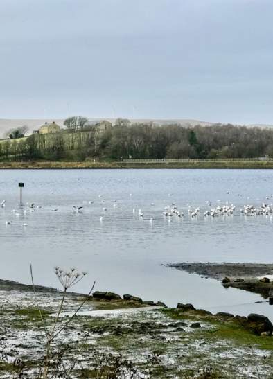 Family-friendly fun at Hollingworth Lake this summer