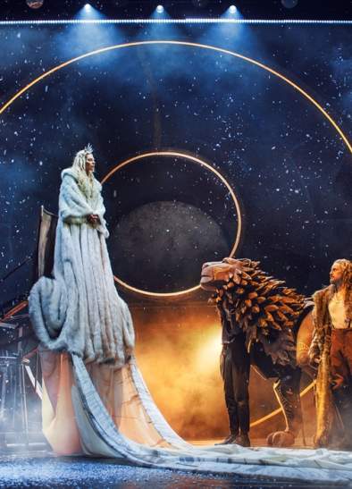 The Lion The Witch and The Wardrobe