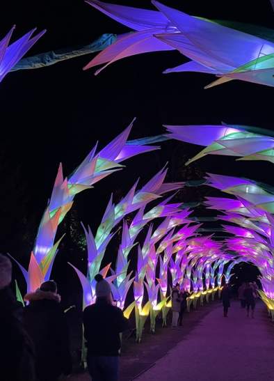 Northern Lights Manchester