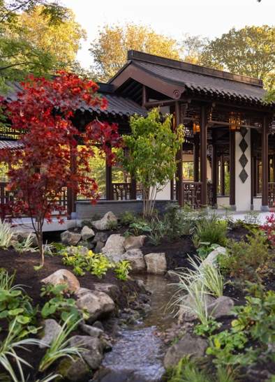 Chinese Stream Gardens at RHS Garden Bridgewater