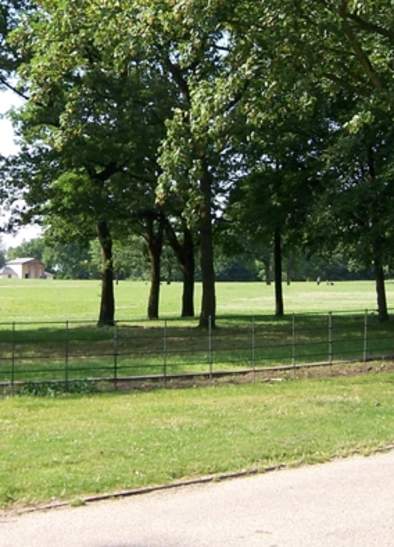 Alexandra Park