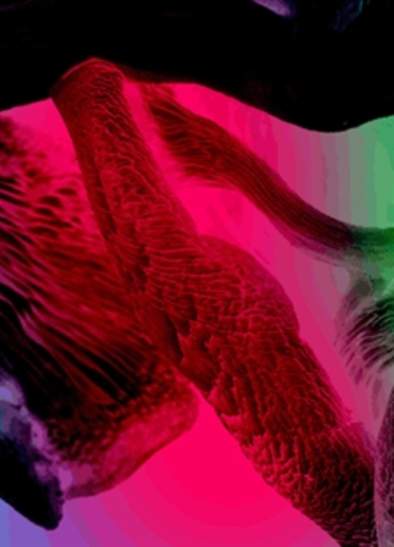 Audio Described exhibition tour of The Guardians of Living Matter