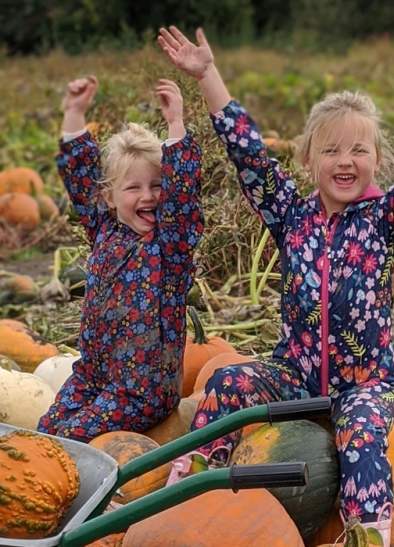 The Pumpkin Patch at Tatton Park