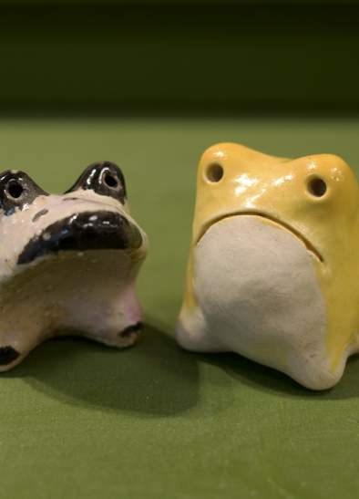 Kids' Paint A Frog