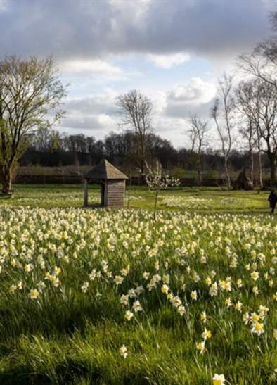 National Lottery Open Week in Greater Manchester