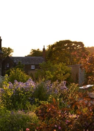 Summer Music Sundays at RHS Garden Bridgewater