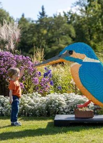 Summer Holiday Fun: Brick Explorers at RHS Bridgewater