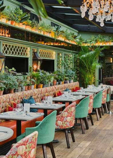Celebrate your Graduation at The Ivy