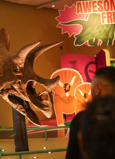 Triceratops: Eat, Roam, Repeat