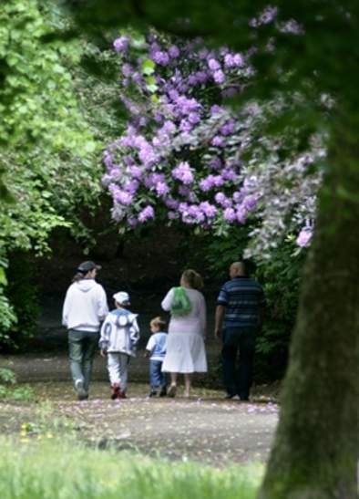 Nuttall Park