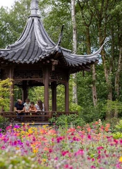 RHS Garden Bridgewater: Fifth Birthday Celebrations