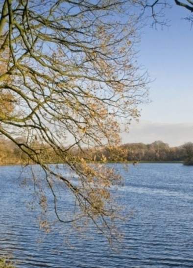 Worthington Lakes Country Park