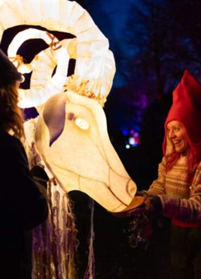 Yuletide: A Glittering Winter Garden Adventure